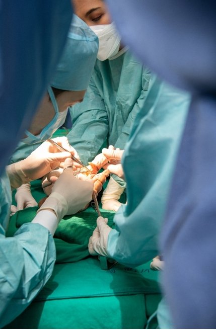 Masterclass in Microsurgery